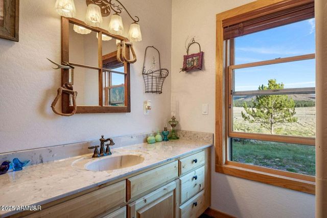 216 County Road 2311 --, Alpine, AZ 85920