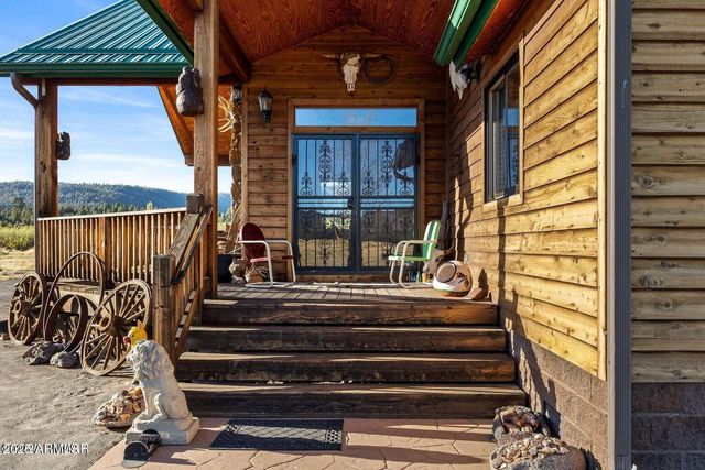 216 County Road 2311 --, Alpine, AZ 85920
