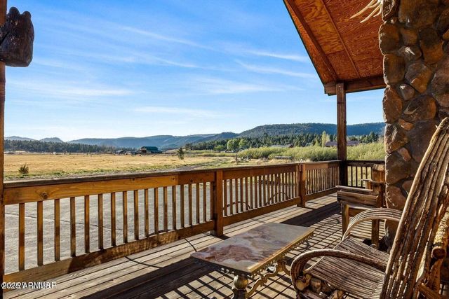 216 County Road 2311 --, Alpine, AZ 85920