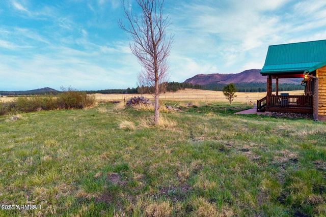 216 County Road 2311 --, Alpine, AZ 85920