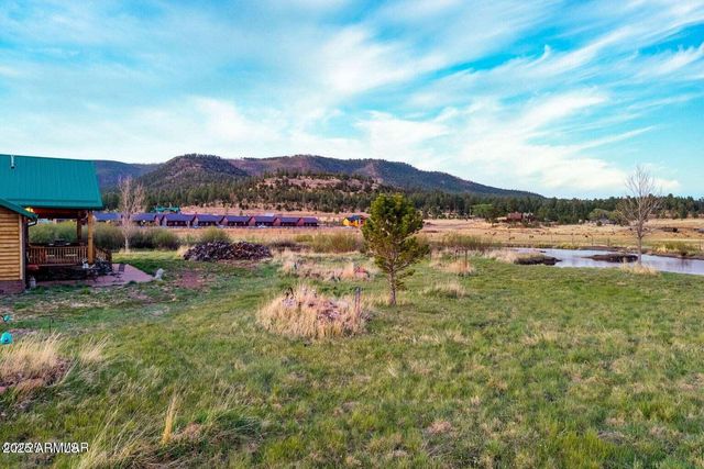 216 County Road 2311 --, Alpine, AZ 85920