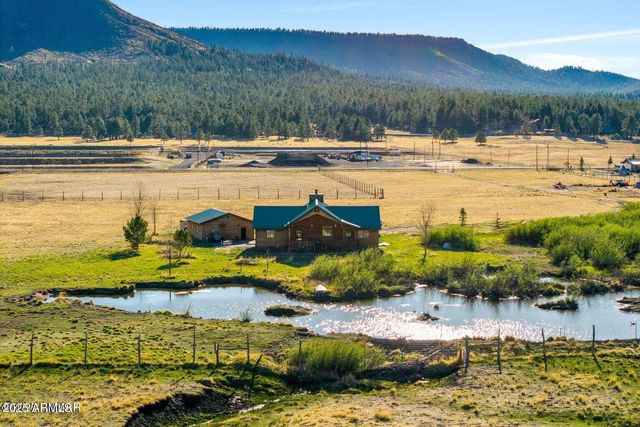 216 County Road 2311 --, Alpine, AZ 85920