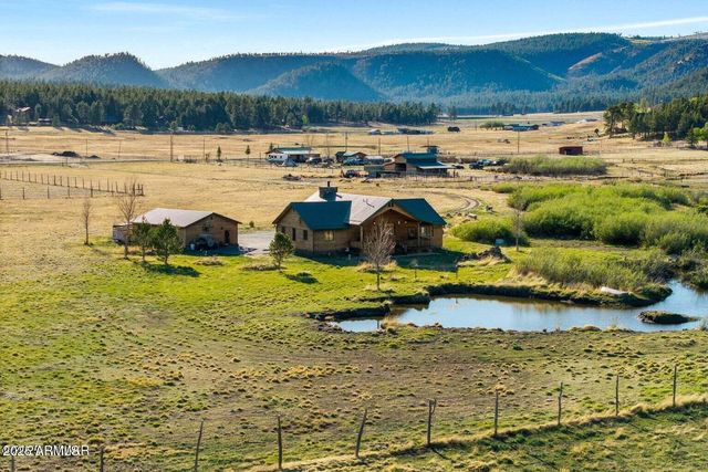 216 County Road 2311 --, Alpine, AZ 85920