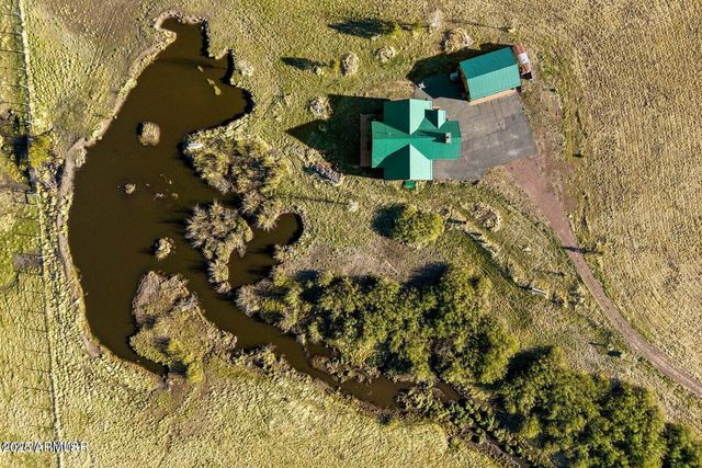 216 County Road 2311 --, Alpine, AZ 85920