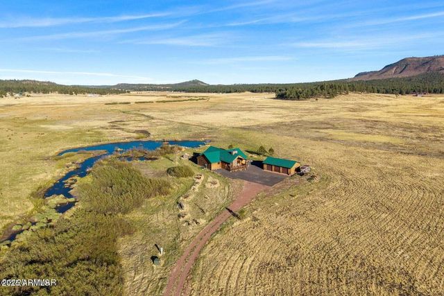 216 County Road 2311 --, Alpine, AZ 85920