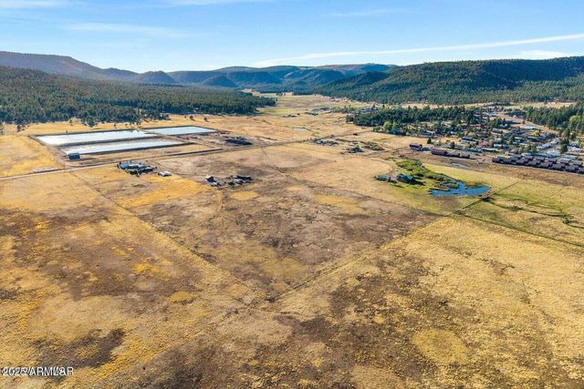 216 County Road 2311 --, Alpine, AZ 85920