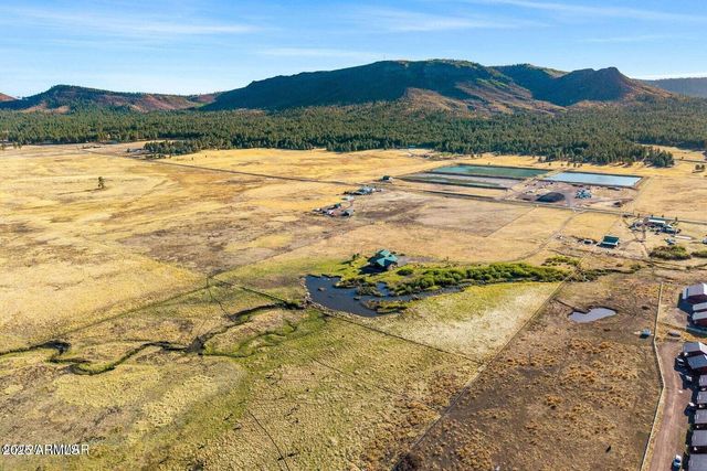 216 County Road 2311 --, Alpine, AZ 85920