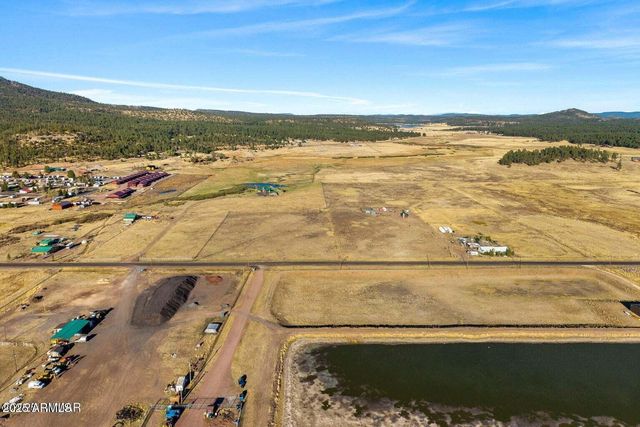 216 County Road 2311 --, Alpine, AZ 85920