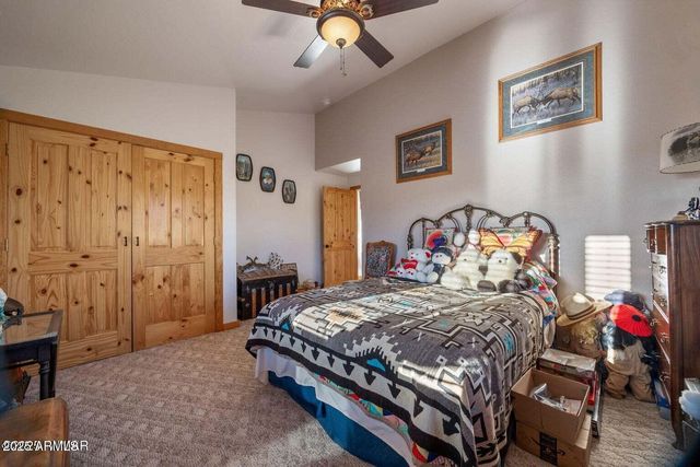 216 County Road 2311 --, Alpine, AZ 85920
