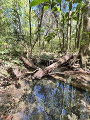 989 Alpha St., Midland City, AL 36350