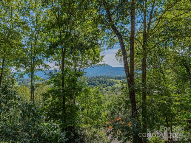 160 Turkey Hollow Court, Waynesville, NC 28785