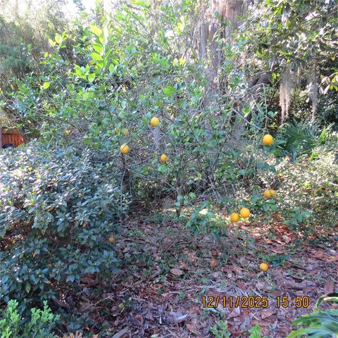 3840 NW 35TH PLACE, Gainesville, FL 32606