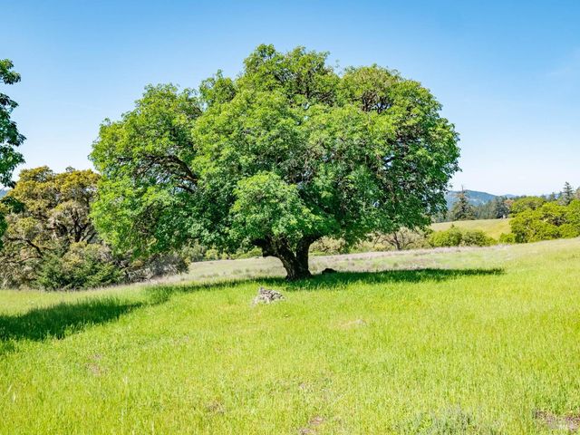 16101 Lost Creek Rd, Yorkville, CA 95494