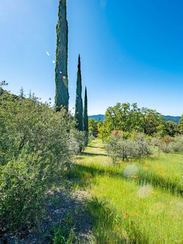 16101 Lost Creek Rd, Yorkville, CA 95494