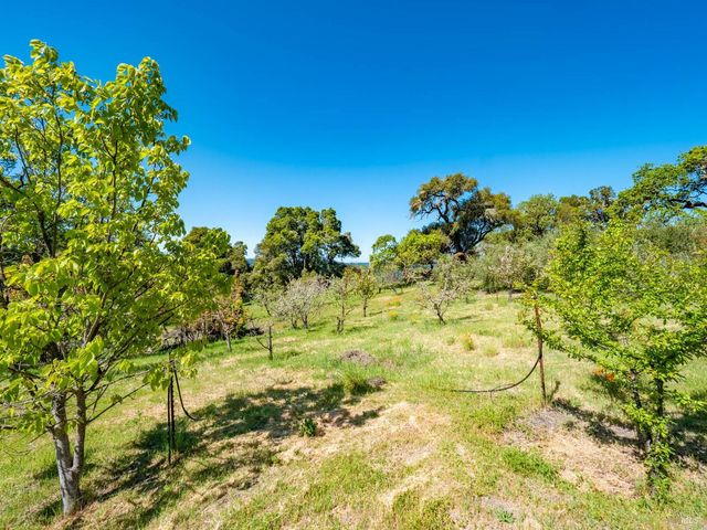 16101 Lost Creek Rd, Yorkville, CA 95494