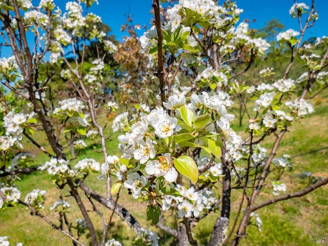 16101 Lost Creek Rd, Yorkville, CA 95494