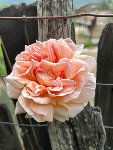 16101 Lost Creek Rd, Yorkville, CA 95494