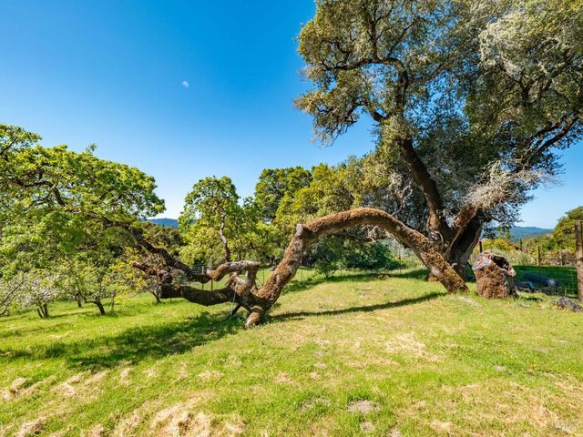 16101 Lost Creek Rd, Yorkville, CA 95494