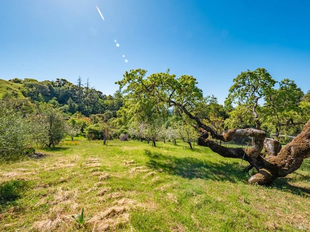16101 Lost Creek Rd, Yorkville, CA 95494