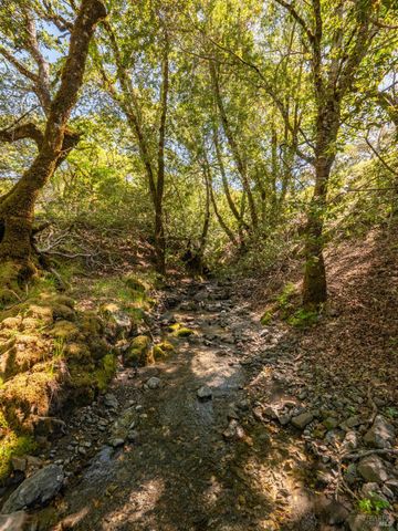 16101 Lost Creek Rd, Yorkville, CA 95494