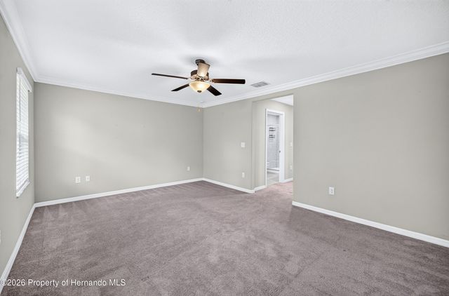 11855 Dumaine Valley Road, Riverview, FL 33579