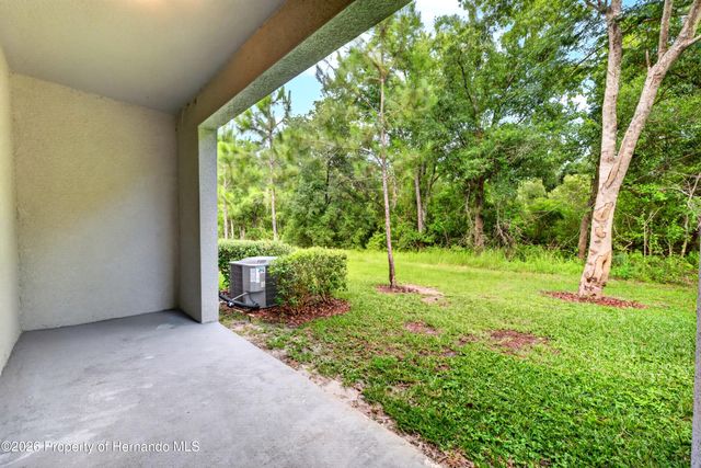 11855 Dumaine Valley Road, Riverview, FL 33579