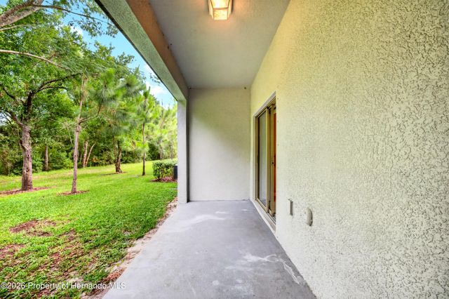 11855 Dumaine Valley Road, Riverview, FL 33579