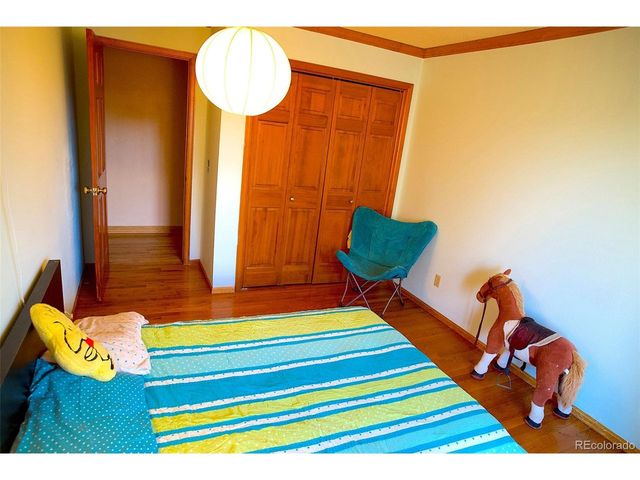 212 Kelsey Pl, Castle Rock, CO 80104