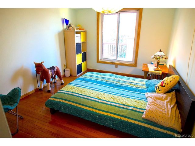 212 Kelsey Pl, Castle Rock, CO 80104