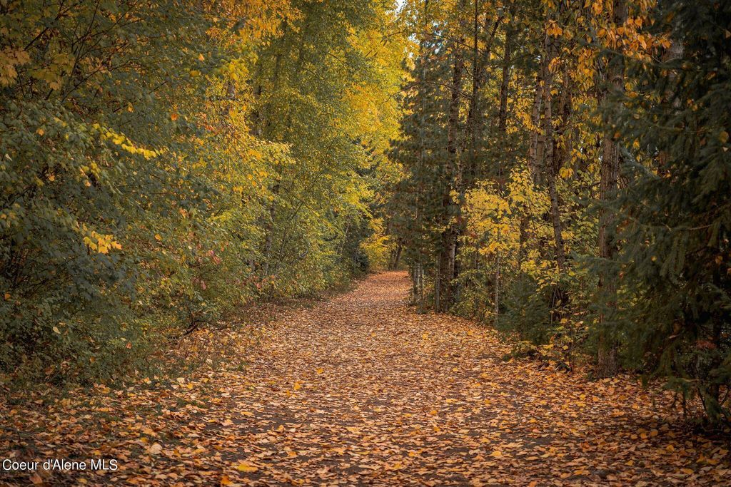 802 Sandpoint Ave, #8202, Sandpoint, ID 83864 photo 64