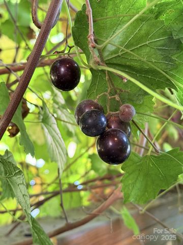 43 Dillingham Estates Trail, Swannanoa, NC 28778