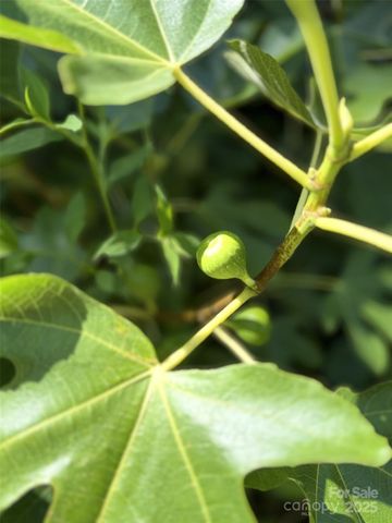 43 Dillingham Estates Trail, Swannanoa, NC 28778