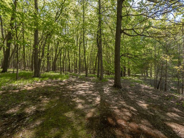 4115 S Van Kal Street, Mattawan, MI 49071