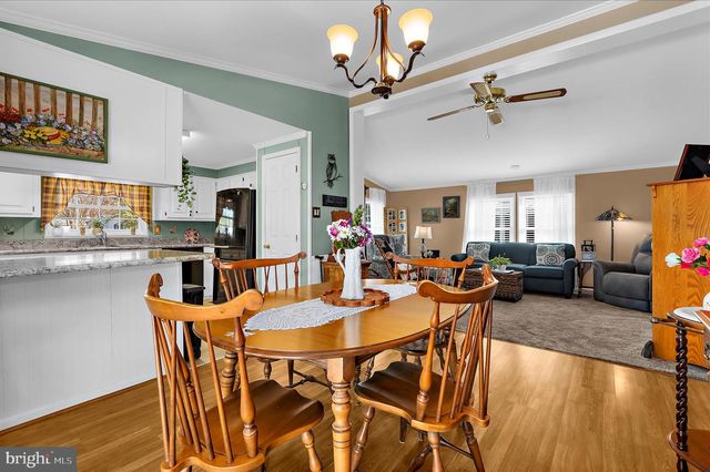 20 DOWNING ST, Easton, MD 21601