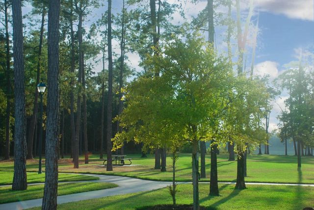 4242 Starling Stream Drive, Spring, TX 77386