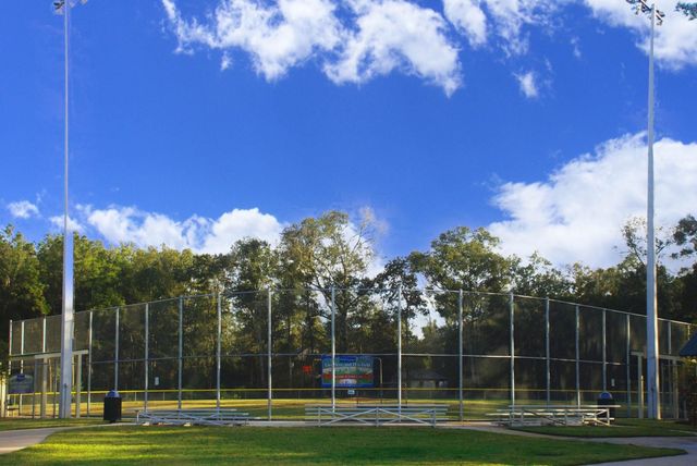 4242 Starling Stream Drive, Spring, TX 77386