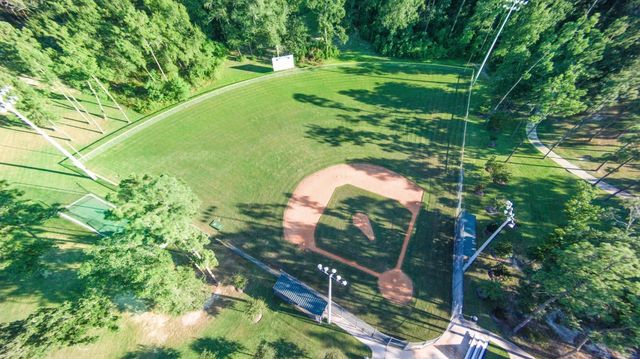 4242 Starling Stream Drive, Spring, TX 77386