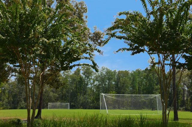 4242 Starling Stream Drive, Spring, TX 77386