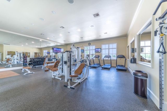 4242 Starling Stream Drive, Spring, TX 77386