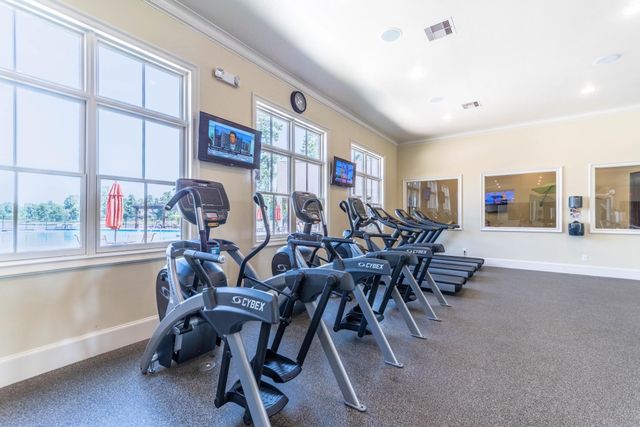 4242 Starling Stream Drive, Spring, TX 77386