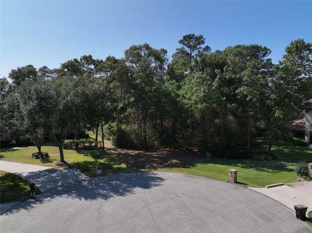 4242 Starling Stream Drive, Spring, TX 77386