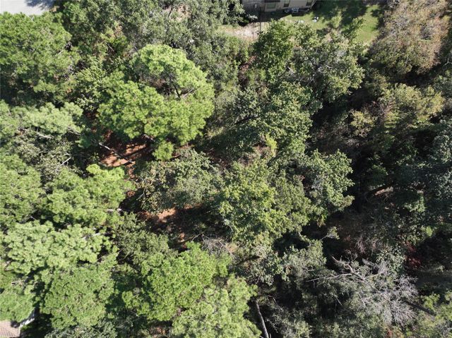 4242 Starling Stream Drive, Spring, TX 77386