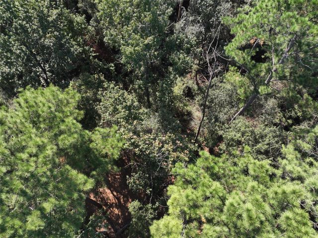 4242 Starling Stream Drive, Spring, TX 77386