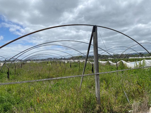 15860 Hill Road, Morgan Hill, CA 95037