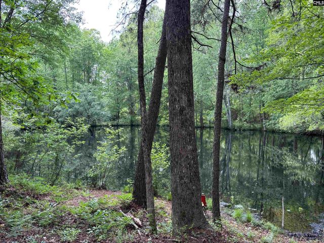 10601 Garners Ferry Road, Eastover, SC 29044