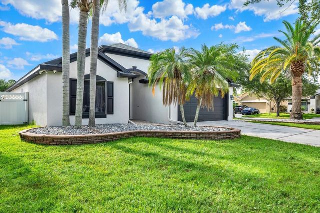 11309 CYPRESS RESERVE DRIVE, Tampa, FL 33626