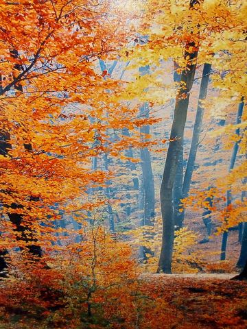 6493 Deer Path, Custer Twp, MI 49615