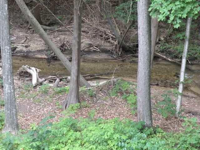 6493 Deer Path, Custer Twp, MI 49615