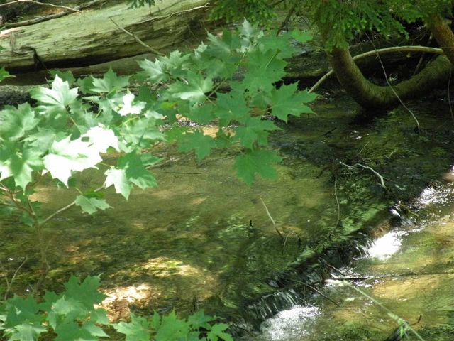 6493 Deer Path, Custer Twp, MI 49615