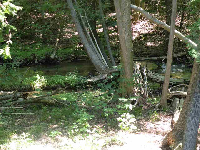 6493 Deer Path, Custer Twp, MI 49615